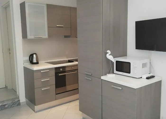 公寓 Casina Carina Con Parcheggio E Wallbox 莱里奇